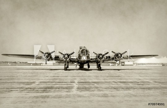 Bild på Old bomber front view